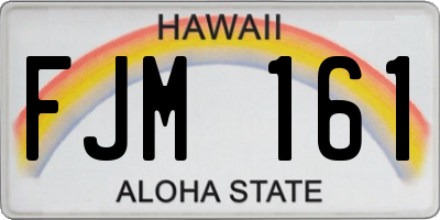 HI license plate FJM161