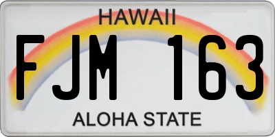 HI license plate FJM163