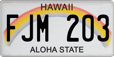 HI license plate FJM203