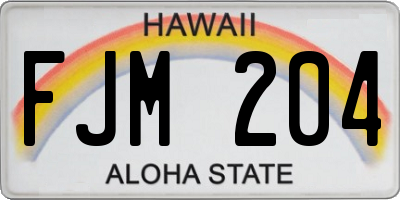 HI license plate FJM204