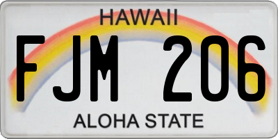HI license plate FJM206