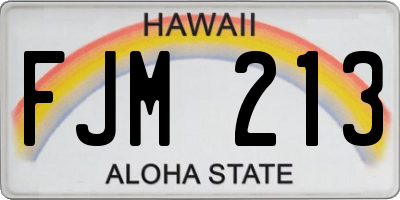 HI license plate FJM213