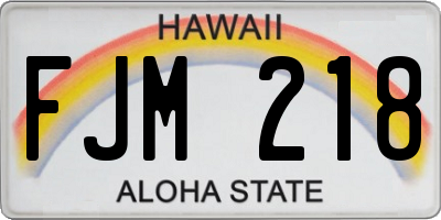 HI license plate FJM218