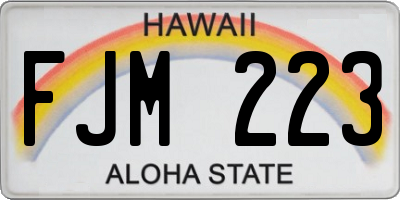 HI license plate FJM223