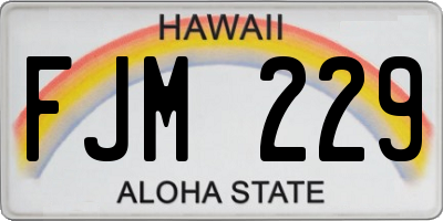 HI license plate FJM229