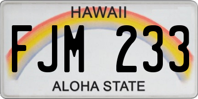 HI license plate FJM233