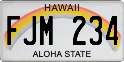 HI license plate FJM234