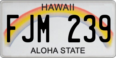 HI license plate FJM239