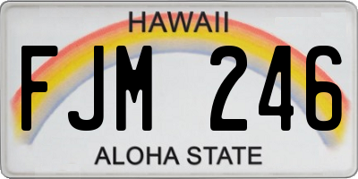 HI license plate FJM246
