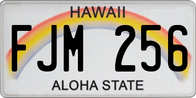 HI license plate FJM256