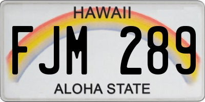 HI license plate FJM289