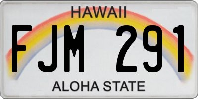 HI license plate FJM291