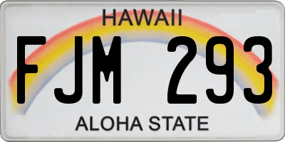HI license plate FJM293