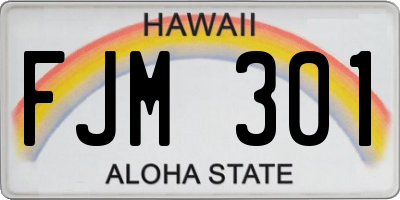 HI license plate FJM301