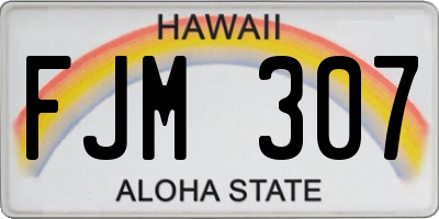HI license plate FJM307