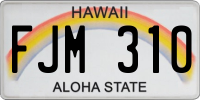 HI license plate FJM310