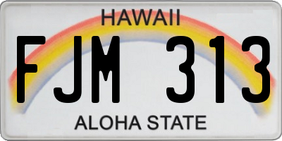 HI license plate FJM313