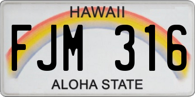 HI license plate FJM316