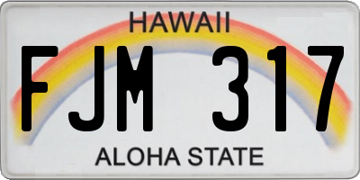 HI license plate FJM317