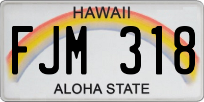 HI license plate FJM318