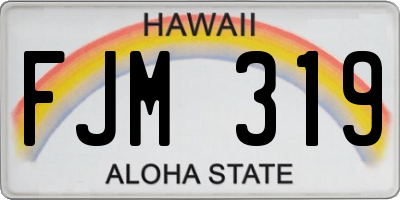HI license plate FJM319