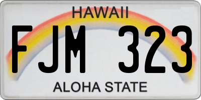 HI license plate FJM323
