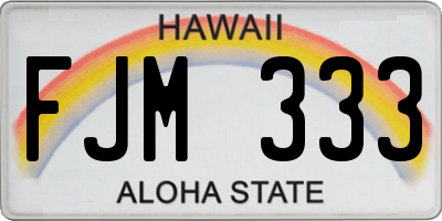 HI license plate FJM333