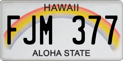 HI license plate FJM377
