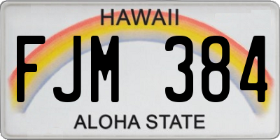 HI license plate FJM384