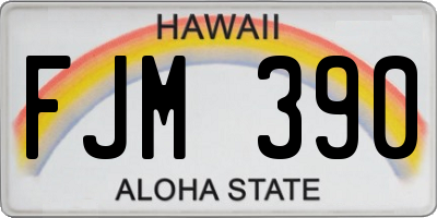 HI license plate FJM390