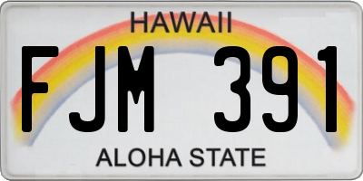 HI license plate FJM391