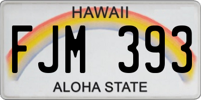 HI license plate FJM393