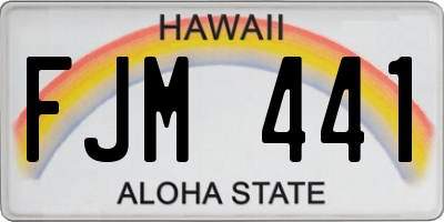 HI license plate FJM441