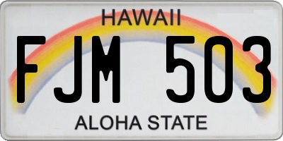 HI license plate FJM503