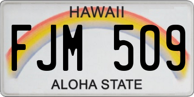 HI license plate FJM509