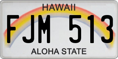 HI license plate FJM513