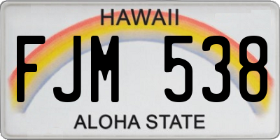 HI license plate FJM538