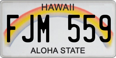 HI license plate FJM559