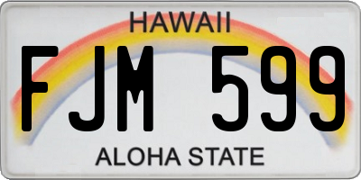 HI license plate FJM599