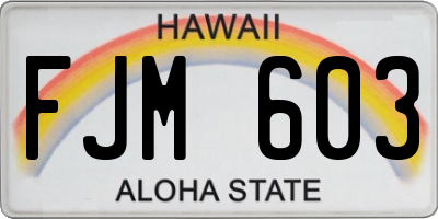 HI license plate FJM603