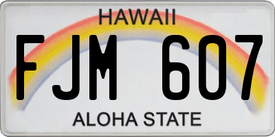 HI license plate FJM607