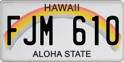 HI license plate FJM610