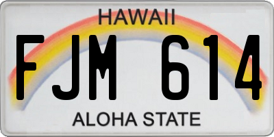 HI license plate FJM614