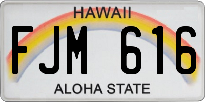 HI license plate FJM616