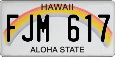 HI license plate FJM617