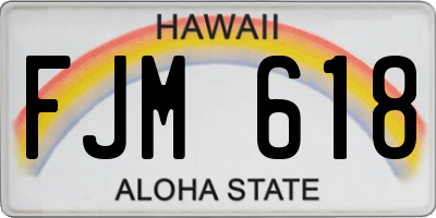 HI license plate FJM618