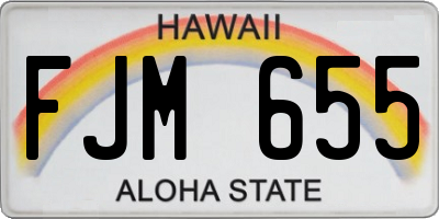 HI license plate FJM655