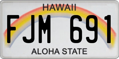 HI license plate FJM691