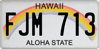 HI license plate FJM713
