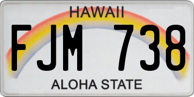 HI license plate FJM738